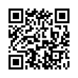 QR Code (код быстрого отклика)