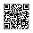 QR Code (код быстрого отклика)