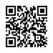 QR Code (код быстрого отклика)