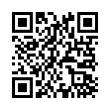 QR Code (код быстрого отклика)