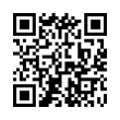 QR Code (код быстрого отклика)