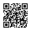 QR Code (код быстрого отклика)