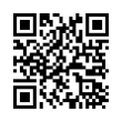 QR Code (код быстрого отклика)