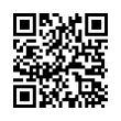 QR Code (код быстрого отклика)