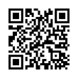 QR Code (код быстрого отклика)