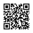 QR Code (код быстрого отклика)