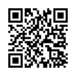 QR Code (код быстрого отклика)