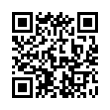 QR Code (код быстрого отклика)