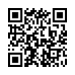 QR Code (код быстрого отклика)