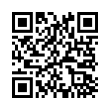 QR Code (код быстрого отклика)