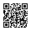 QR Code (код быстрого отклика)