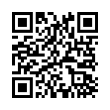 QR Code (код быстрого отклика)