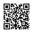 QR Code (код быстрого отклика)