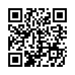 QR Code (код быстрого отклика)