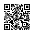 QR Code (код быстрого отклика)