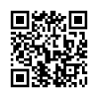 QR Code (код быстрого отклика)