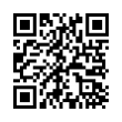 QR Code (код быстрого отклика)