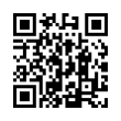 QR Code (код быстрого отклика)