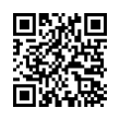 QR Code (код быстрого отклика)