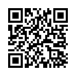 QR Code (код быстрого отклика)