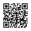 QR Code (код быстрого отклика)