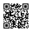 QR Code (код быстрого отклика)