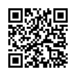 QR Code (код быстрого отклика)