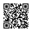 QR Code (код быстрого отклика)