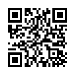 QR Code (код быстрого отклика)