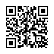 QR Code (код быстрого отклика)