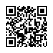 QR Code (код быстрого отклика)