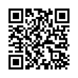 QR Code (код быстрого отклика)