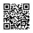 QR Code (код быстрого отклика)