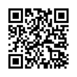 QR Code (код быстрого отклика)