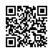 QR Code (код быстрого отклика)